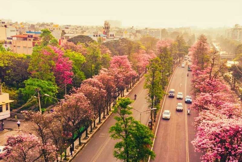 jayanagar